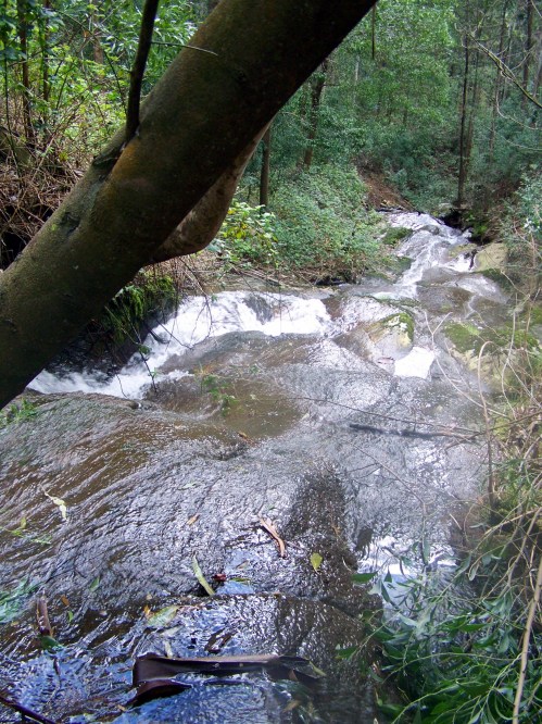 Hacia Castiñeiras seguindo a senda do Lameira.