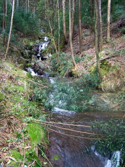 Hacia Castiñeiras seguindo a senda do Lameira.