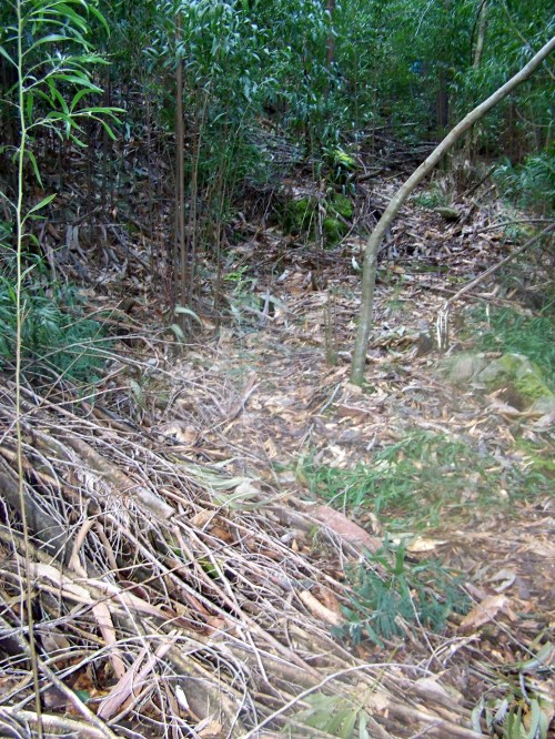Hacia Castiñeiras seguindo a senda do Lameira.
