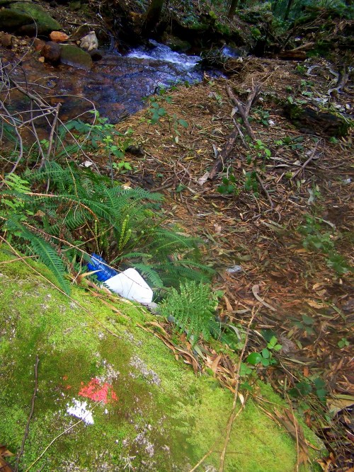 Hacia Castiñeiras seguindo a senda do Lameira.