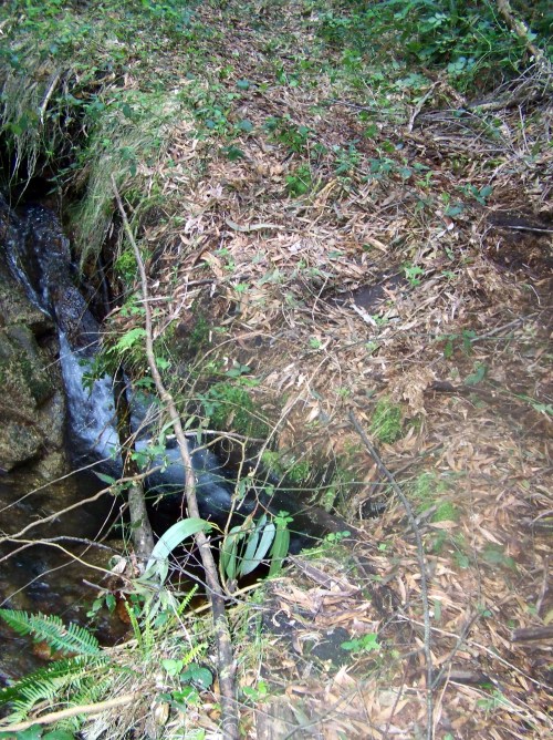 Hacia Castiñeiras seguindo a senda do Lameira.