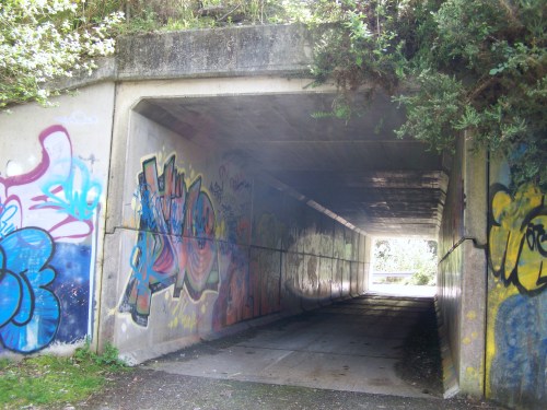 Trazado que propón Acuaes para a instalación da nova rede de abastecemento de auga.