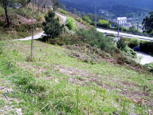 Trazado que propón Acuaes para a instalación da nova rede de abastecemento de auga.