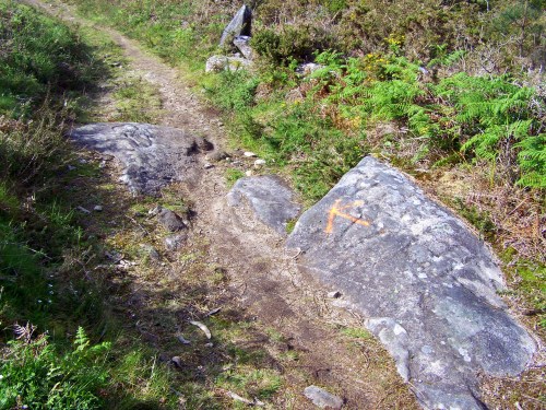 Marca de sprai nunha rocha gravada por Pepito Meijón.