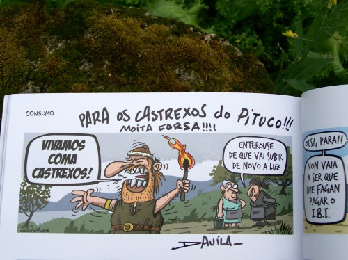 "O bichero IV", de Luis Davila (2014).