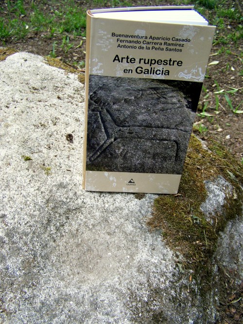 "Arte rupestre en Galicia": Buenaventura Aparicio, Fernando Carrera, Antonio de la Peña. Edicións do Cumio, 2013.