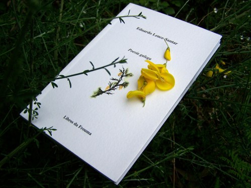 POESÍA GALEGA, de Eduardo Lence-Santar. Libros da Frouma, 1999.
