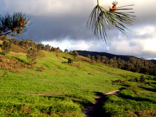Día da Terra no Monte Pituco.