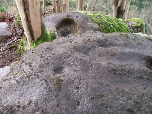 Conxunto rupestre de Champás, en San Xulián (Foto, Paulo Troitiño]