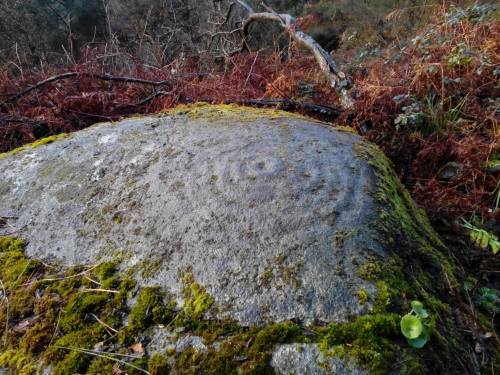 Conxunto rupestre de Champás, en San Xulián (Foto, Paulo Troitiño]