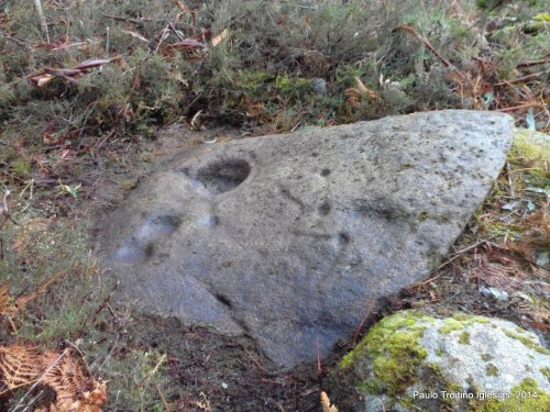 Conxunto rupestre da Carrasca (foto, Paulo Troitiño Iglesias).