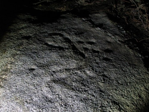 Conxunto rupestre da Carrasca (foto, Paulo Troitiño Iglesias).