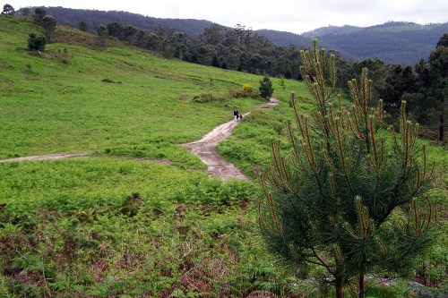 Monte Pituco, Espazo Natural dos Montes do Morrazo.