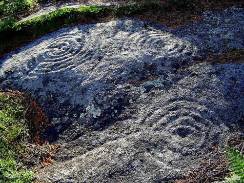 Petroglifos de Pornedo.