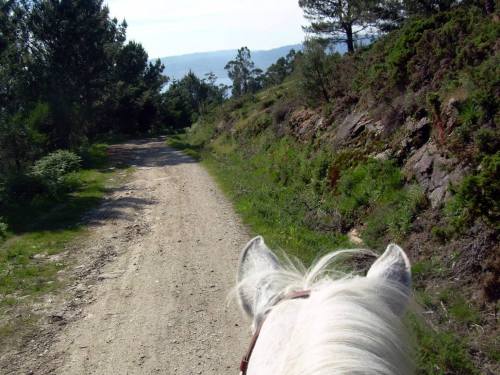 Paseo a cabalo polo Monte Pituco (fotos, Tere Ponce).