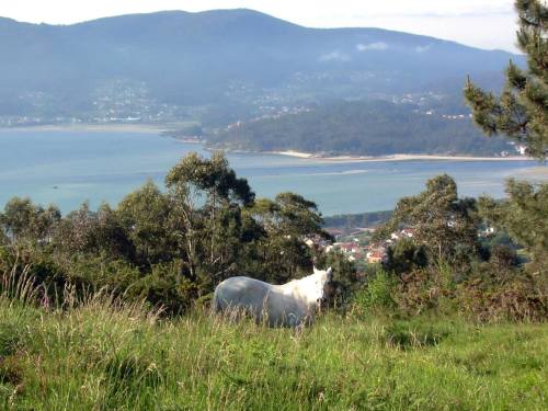 Paseo a cabalo polo Monte Pituco (fotos, Tere Ponce).