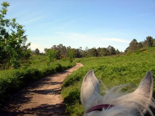 Paseo a cabalo polo Monte Pituco (fotos, Tere Ponce).