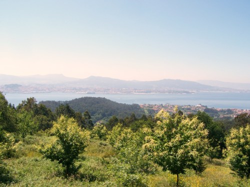 Vista da ría de Vigo dende o miradoiro de Outeiro do Cruceiro.