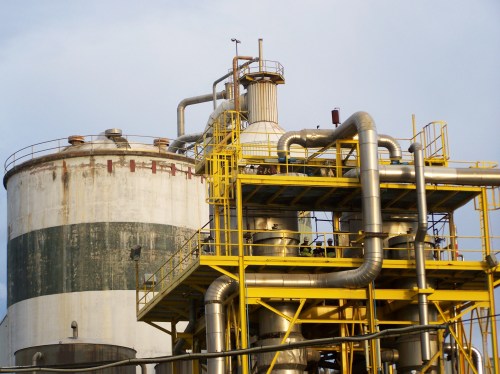 Na marcha da APDR 2014.