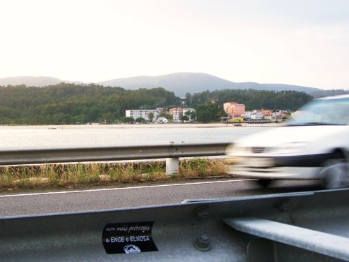 Marcha da APDR 2014.