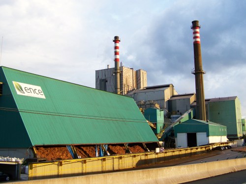 Na Marcha da APDR 2014.