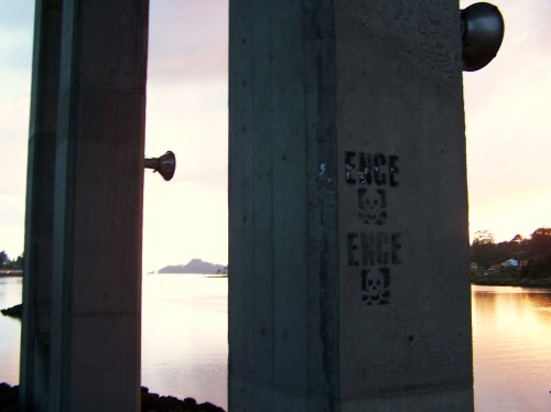 Na Marcha da APDR 2014.