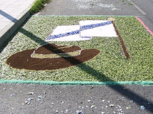 Alfombra floral dedicada a Xan Montenegro.