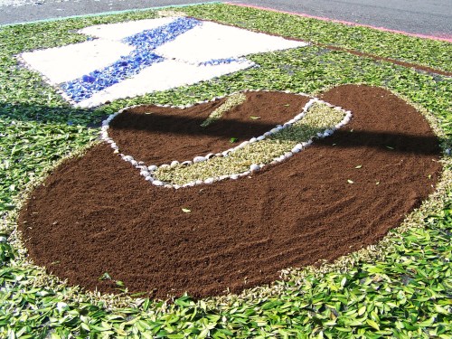 Alfombra floral dedicada a Xan Montenegro.