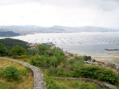 Vista dende o Miradoiro dos Parientes, Moaña.