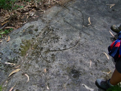 Petroglifos de Pozo GArrido, Moaña.