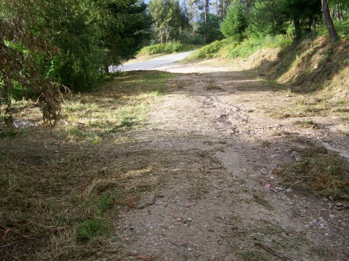 Desbroce da pista forestal do Pituco.