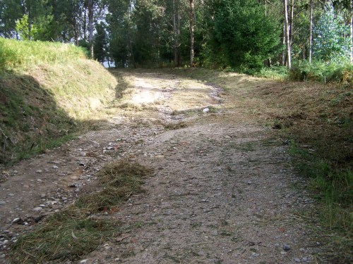 Desbroce da pista forestal do Pituco.