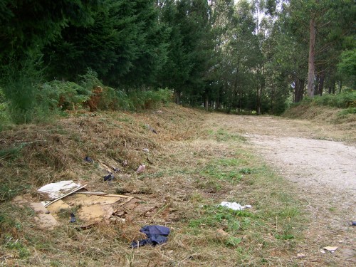 Desbroce da pista forestal do Pituco.