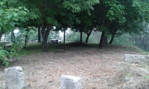 Desbrozada a arboreda do Pituco.