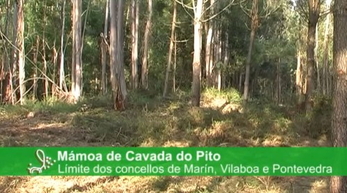 Mámoa de Cavada do Pito.