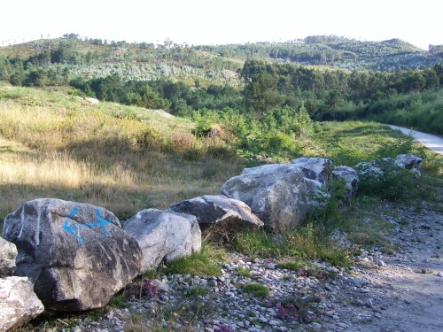 Valado protexendo os petroglifos de Regato dos Buratos.