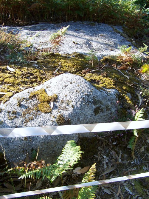 Petroglifos do Escorregadoiro, en Lourizán.