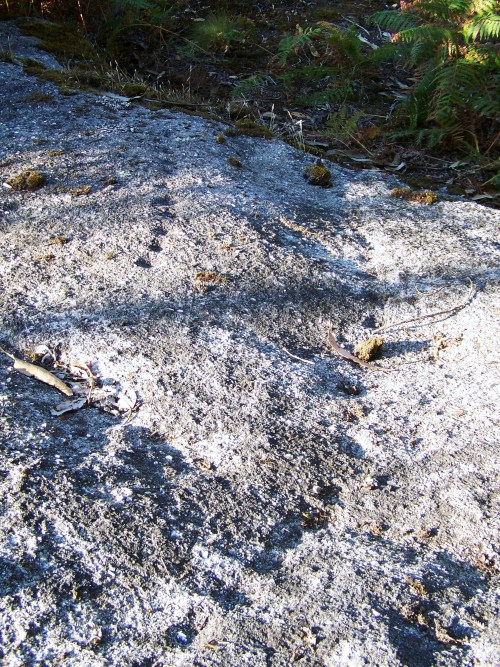 Petroglifos do Escorregadoiro.