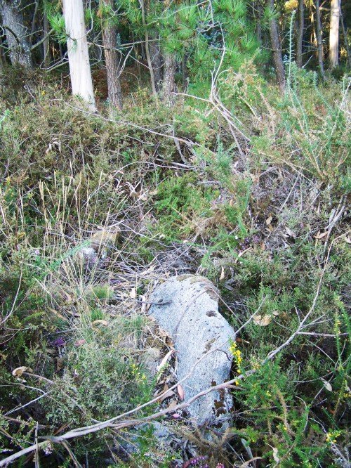 Mámoa de Catadoiro.