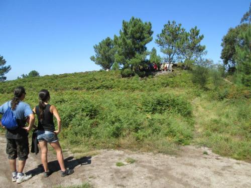 Conxunto rupestre de Pornedo (foto, Alex Negreira).