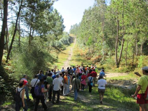 Nos Sete Camiños (foto, Alex Negreira).