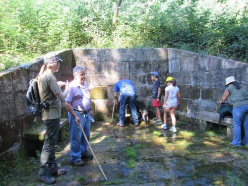 Fonte da Prata, en Salcedo (foto, Alex Negreira).