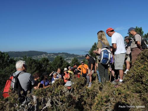Petroglifos de Sete Camiños (foto, Paulo Troitiño).