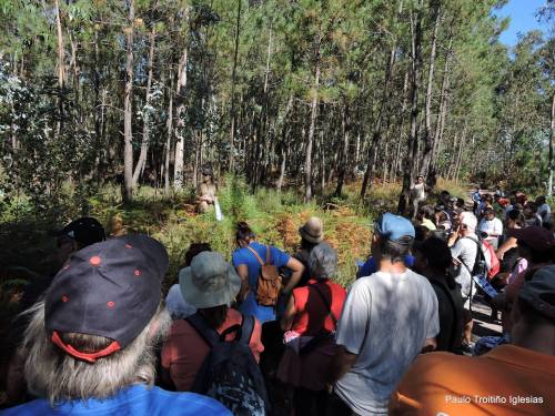 Mámoa de Sete Camiños (foto, Paulo Troitiño).