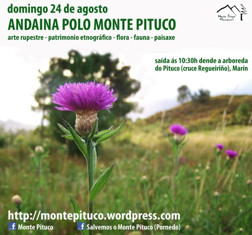 Andaina polo Pituco, 24 de agosto ás 10:30h.