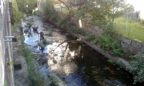 Campaña de limpeza 2014 do Gafos, organizada por Vaipolorío.
