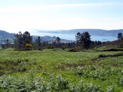 Val do Monte Pituco (Pornedo).