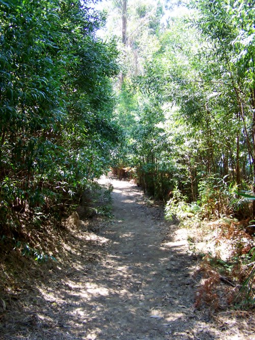 Sendeiro perimetral de Tambo.