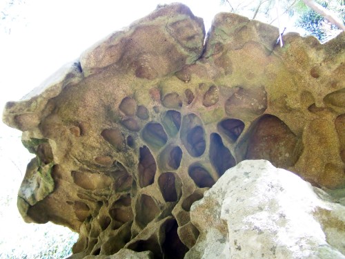 Detalle dun penedo erosionado no sendeiro perimetral de Tambo.