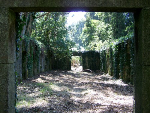 Ruínas do antigo lazareto de Tambo.